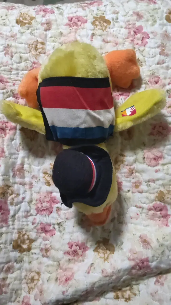 pato banco estado