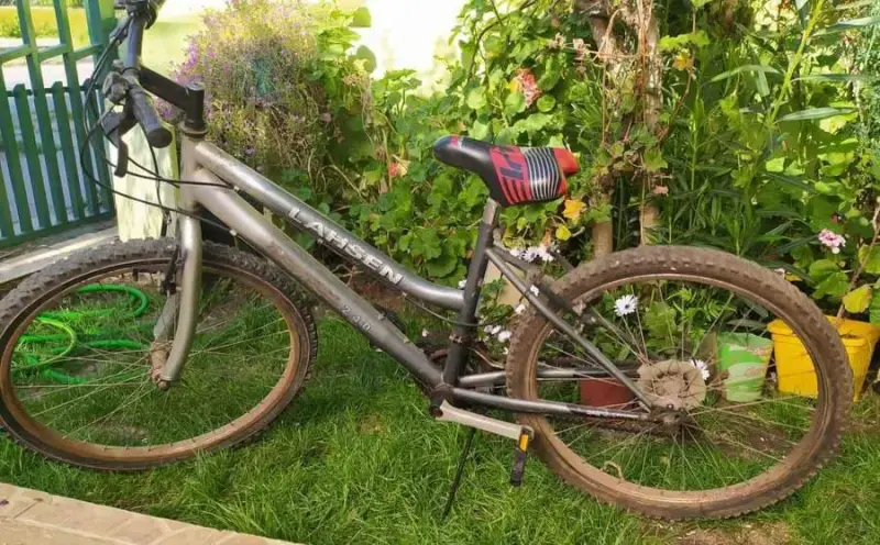 Bicicleta Lahsen Aro 20