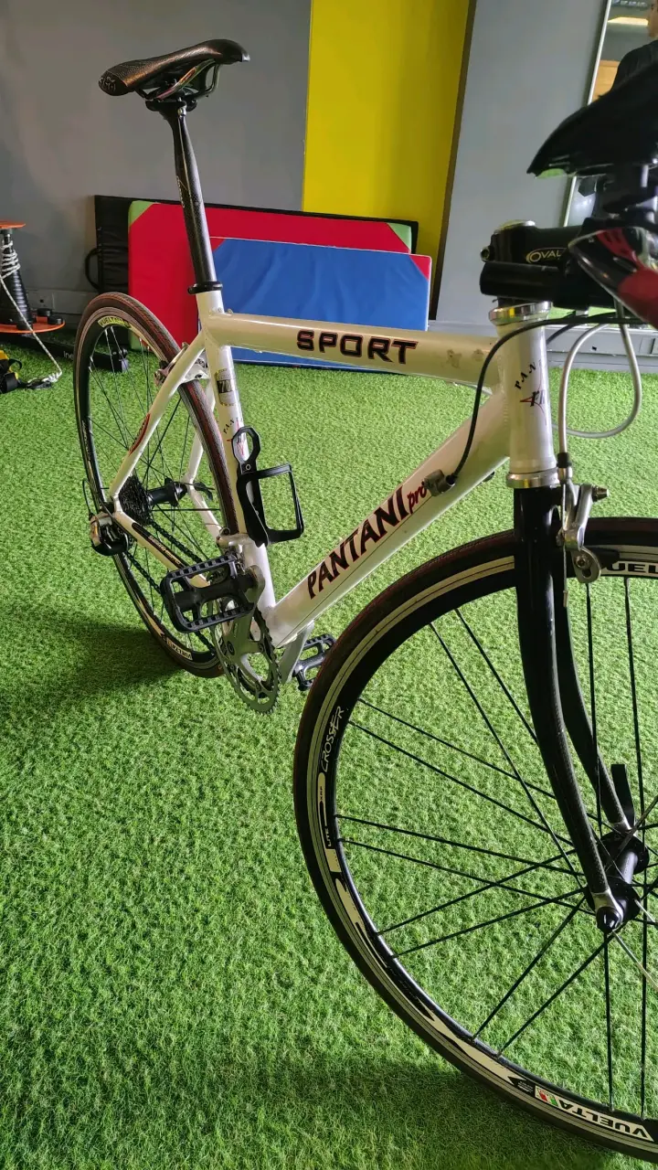 Bicicleta de Ruta Pantani Pro Sport - 2