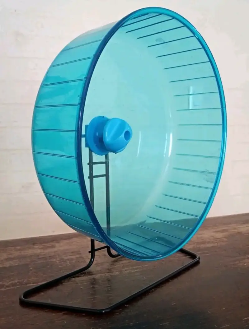 Rueda de ejercicio para hámster o erizo 🦔 azul