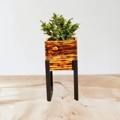Macetero de madera quemada con soporte metalico - miniatura 2