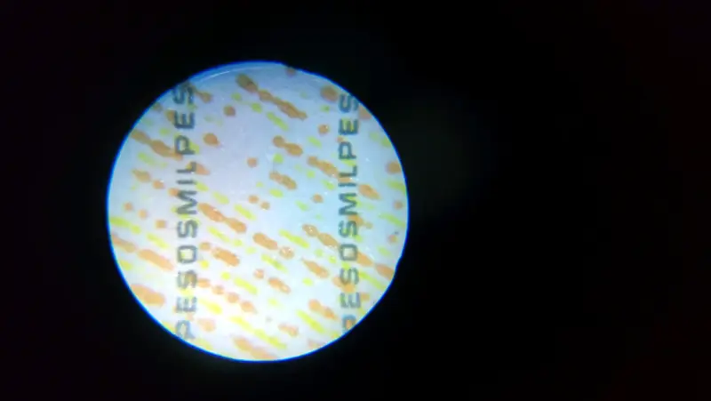 Microscopio óptico portátil con luz LED - 6