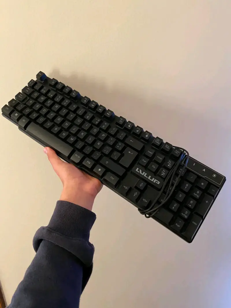 Teclado mecánico gamer LVLUP negro(última unida)