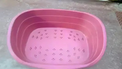 Cama plástica rosa para mascotas grande - miniatura 4