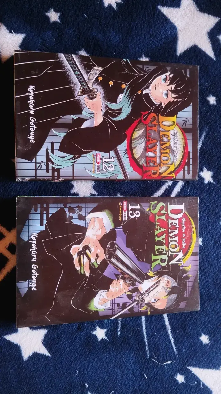 Mangas Demon Slayer Tomos 12 y 13 - 1