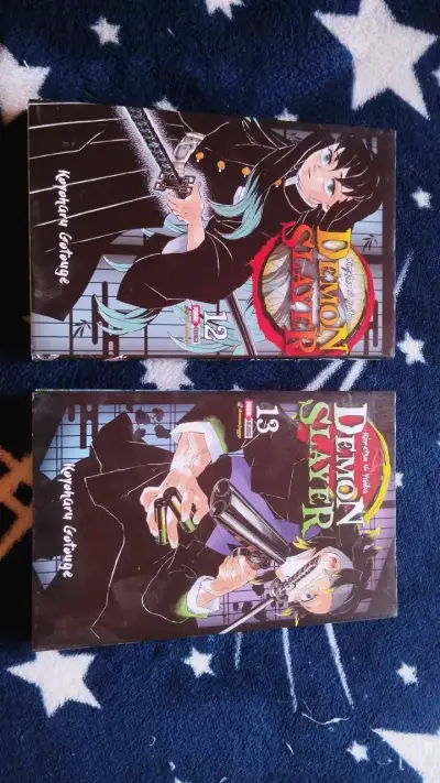 Mangas Demon Slayer Tomos 12 y 13 - miniatura 1