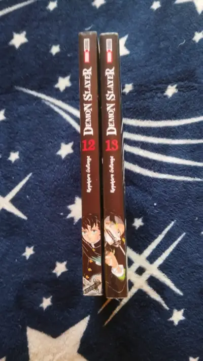 Mangas Demon Slayer Tomos 12 y 13 - miniatura 3