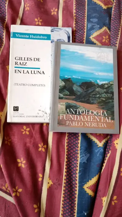 Libros de poesía de Vicente Huidobro y Pablo Neruda - miniatura 1