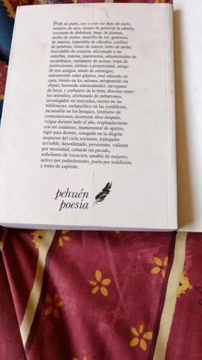 Libros de poesía de Vicente Huidobro y Pablo Neruda - miniatura 2