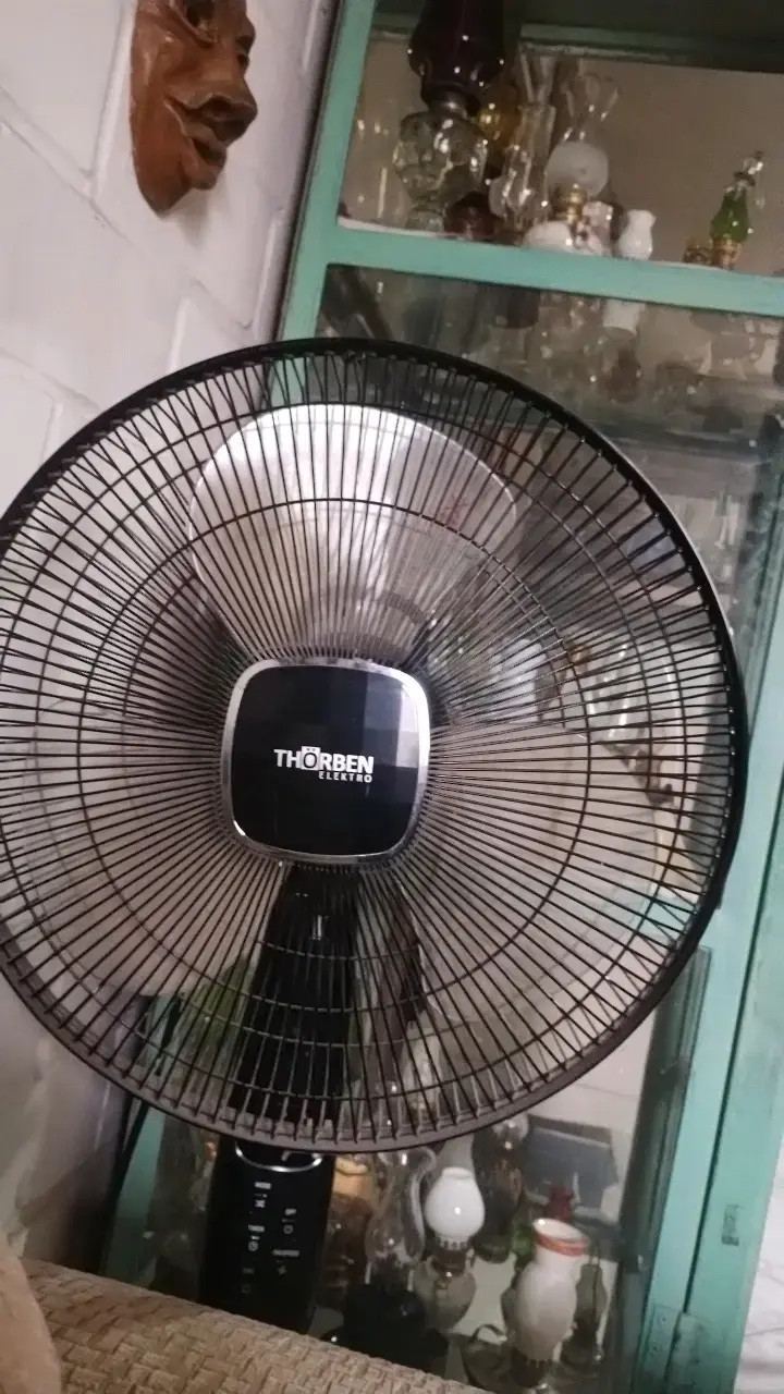 Ventilador de pie Thorben negro ajustable - 2