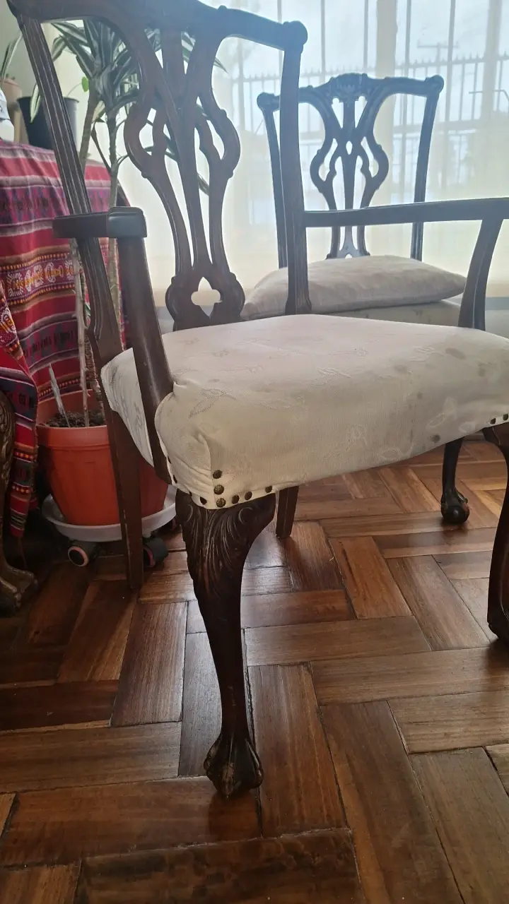 Juego de comedor Chipendale 6 sillas y 2 sitiales - 3