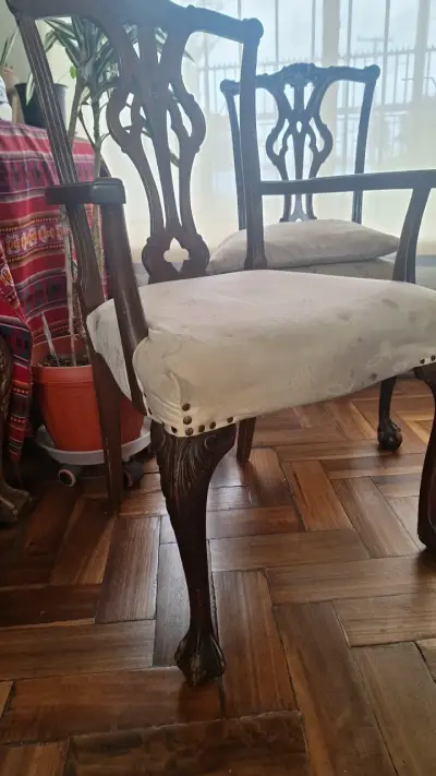 Juego de comedor Chipendale 6 sillas y 2 sitiales - miniatura 3
