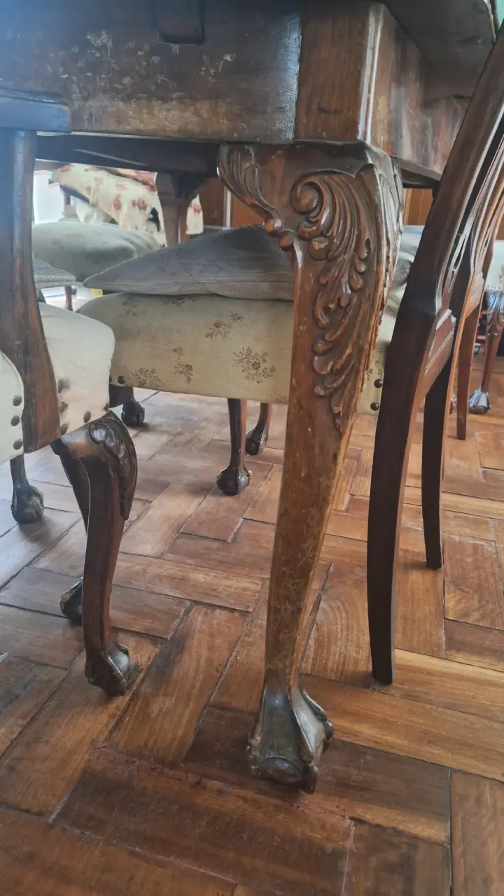 Juego de comedor Chipendale 6 sillas y 2 sitiales - 5