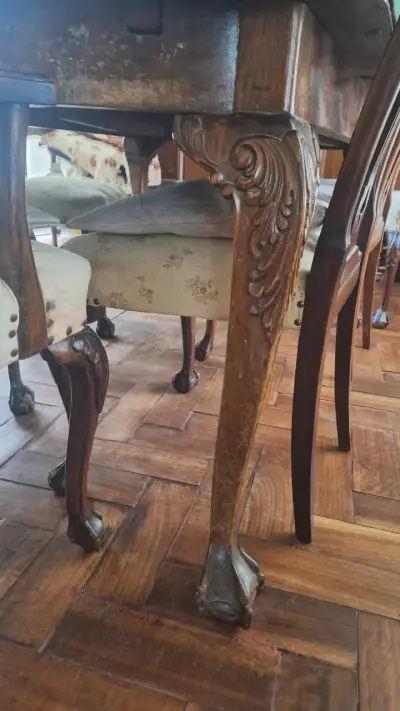 Juego de comedor Chipendale 6 sillas y 2 sitiales - miniatura 5