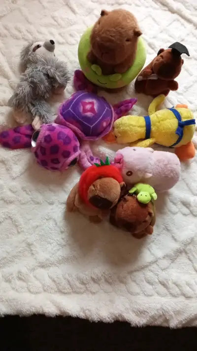 Lote de peluches variados para niños - miniatura 1