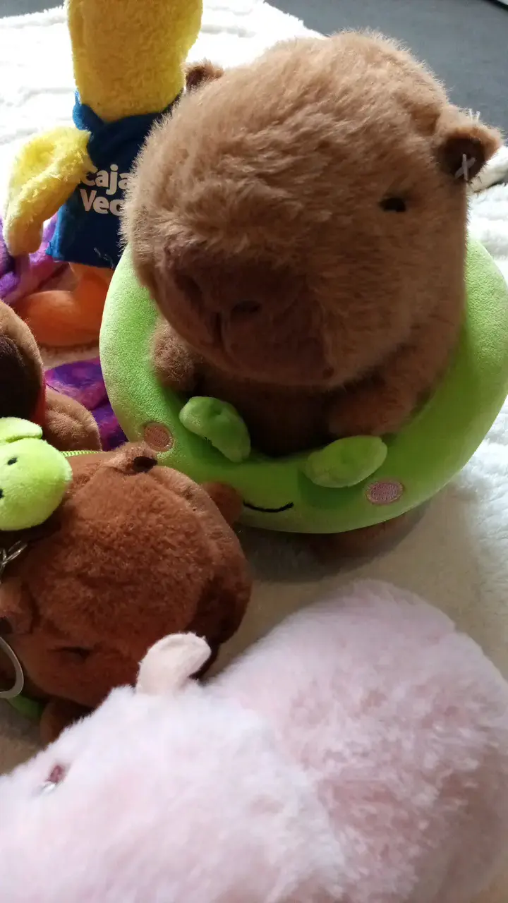 Lote de peluches variados para niños - 5
