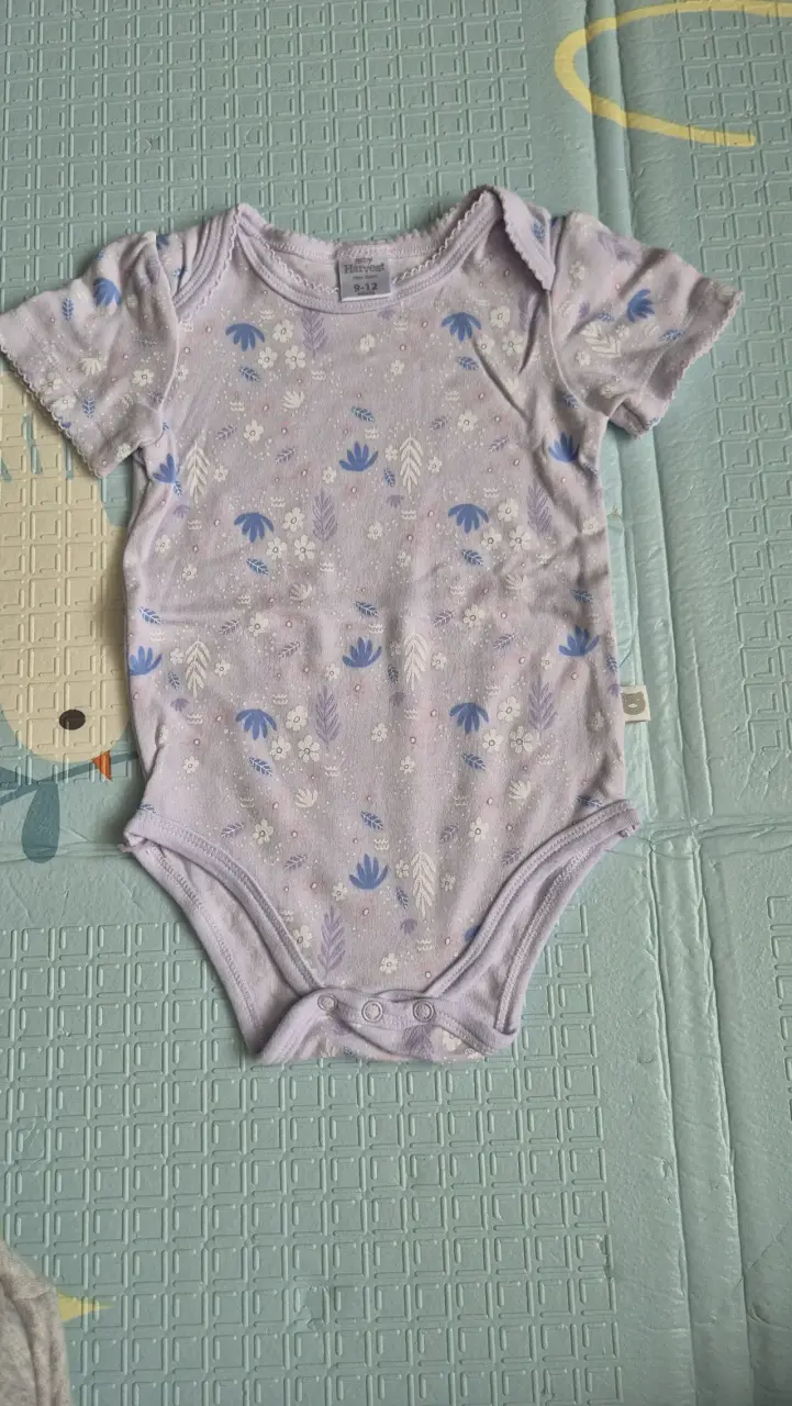 Set de 6 bodies para bebé Baby Harvest - 3