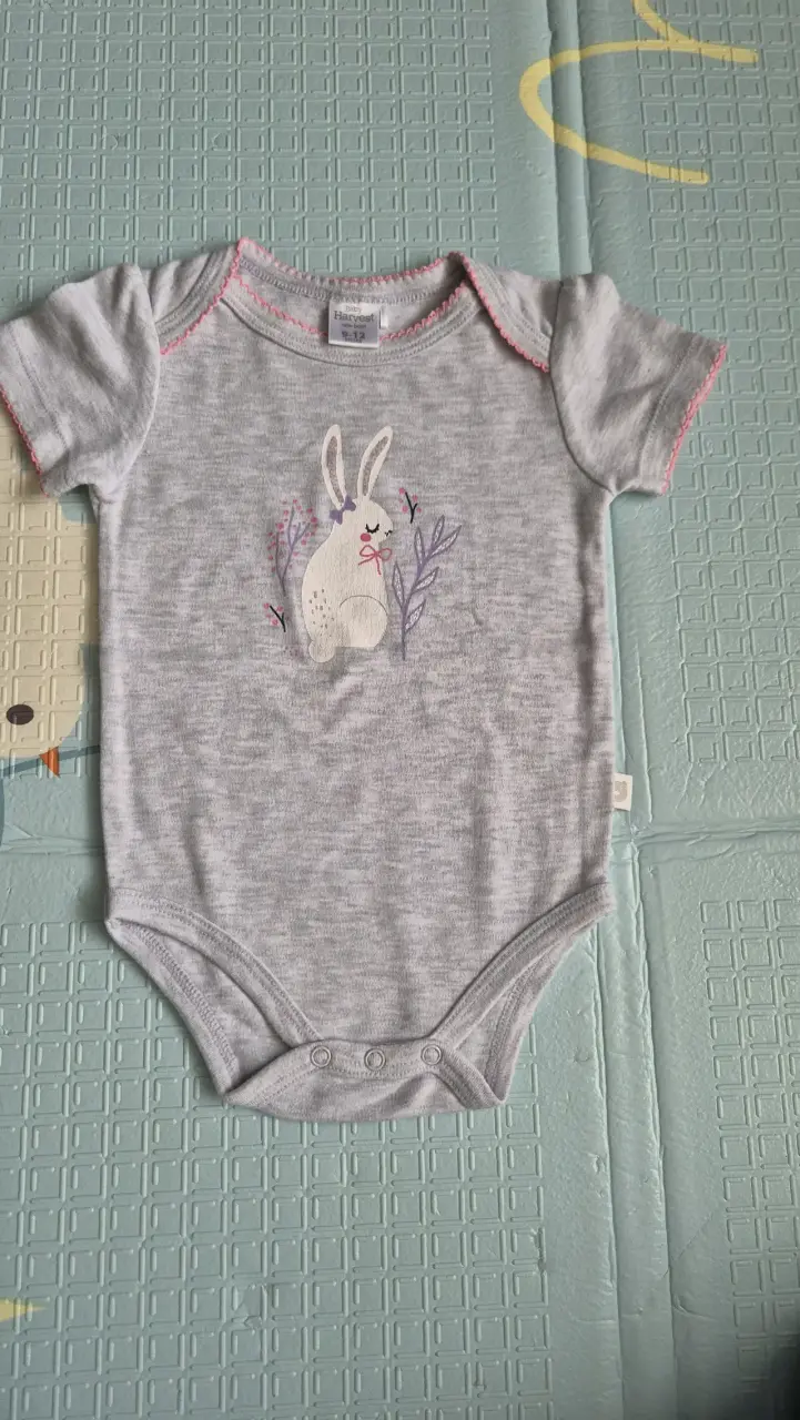 Set de 6 bodies para bebé Baby Harvest - 6