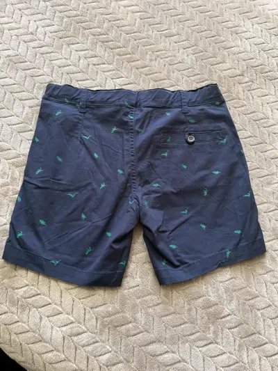 Shorts de Niño Azul con Dinosaurios Black & Blue - miniatura 2