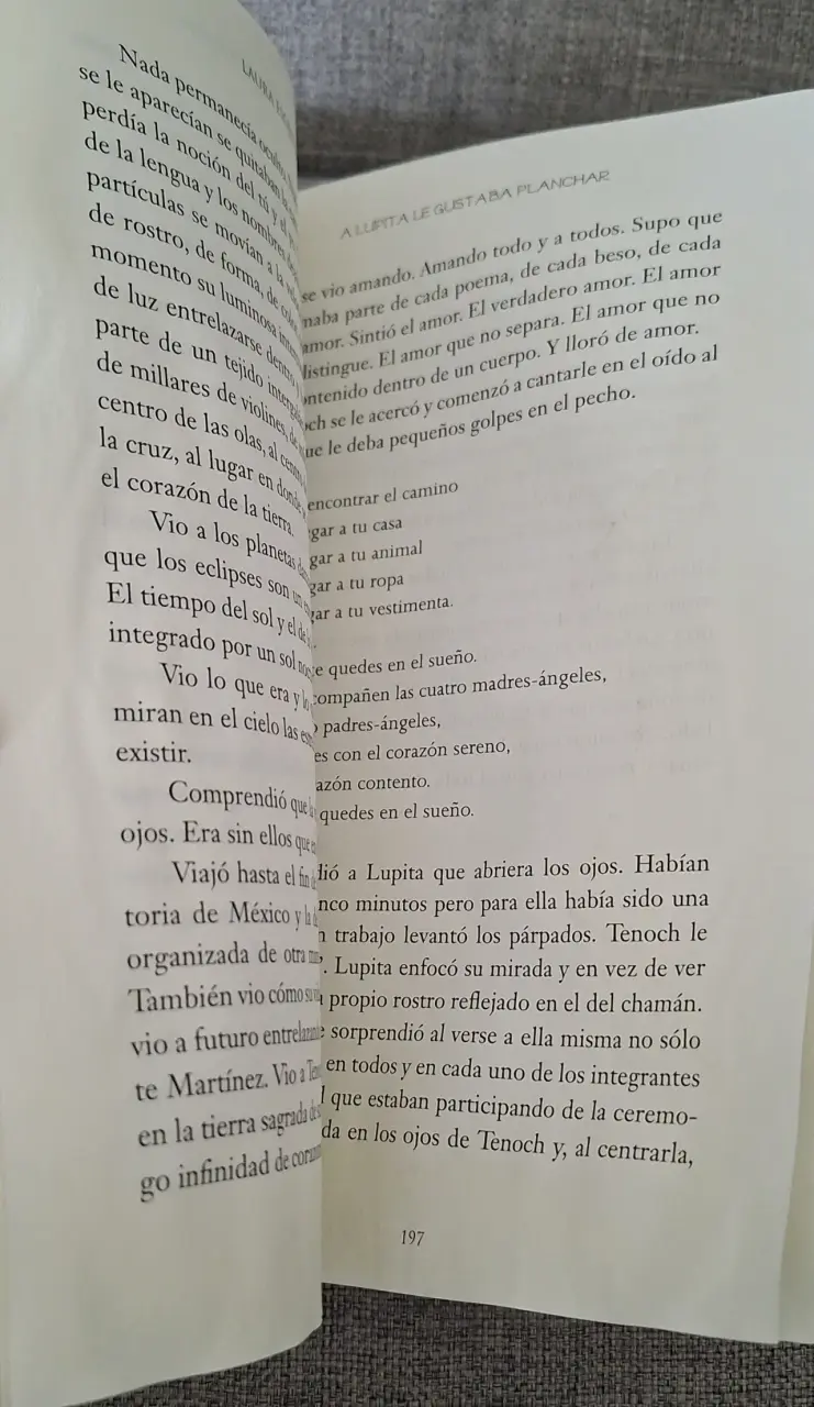 Libro 'A Lupita Le Gustaba Planchar'/ Laura Esqui - 4
