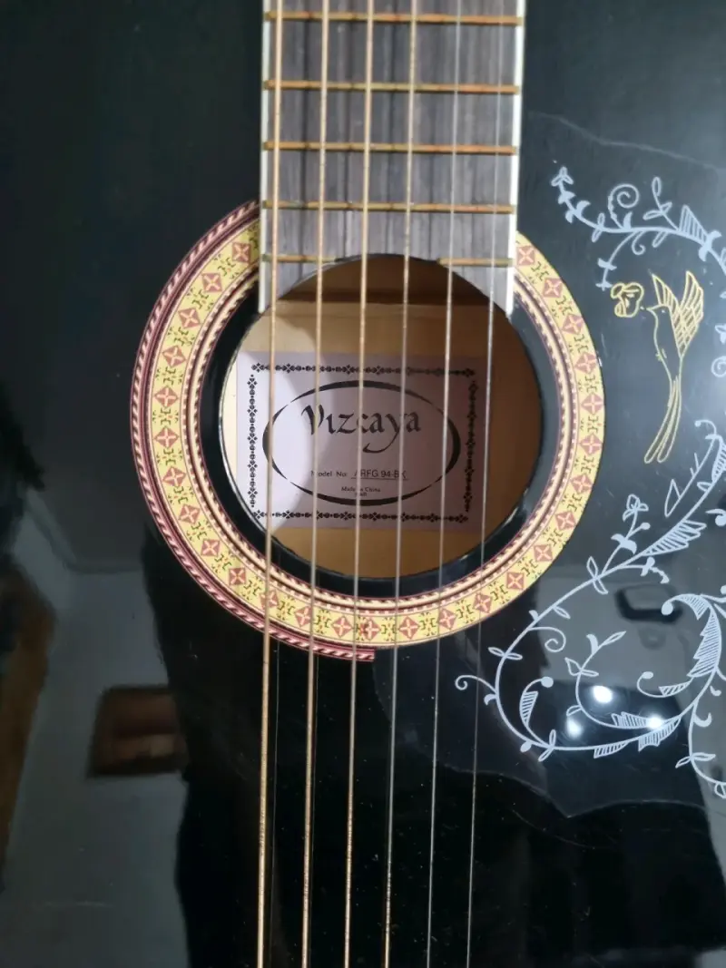 Guitarra acústica Vizcaya negra con funda Vizcaya - 4