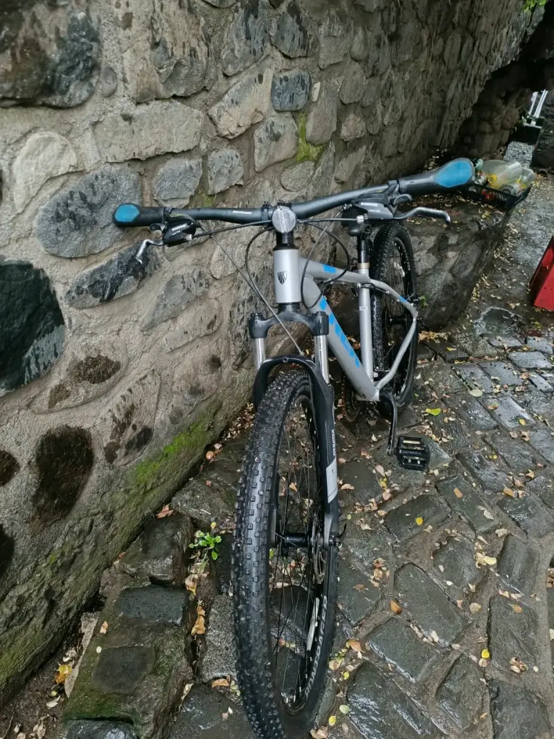 Bicicleta de montaña Trek gris con suspensión - 4