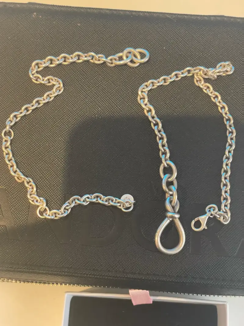 Cadena de plata Pandora con cierre de gancho - 2