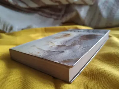 Libro 'El Desconocido' de Carmen Kurtz, Premio Planeta 1956 - miniatura 3