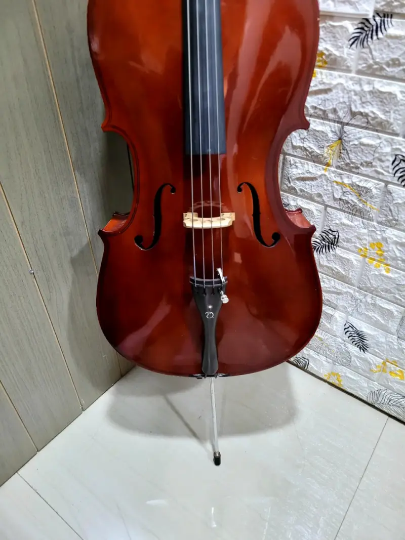 Violoncello 1/2 para estudiantes con acabado bril - 1