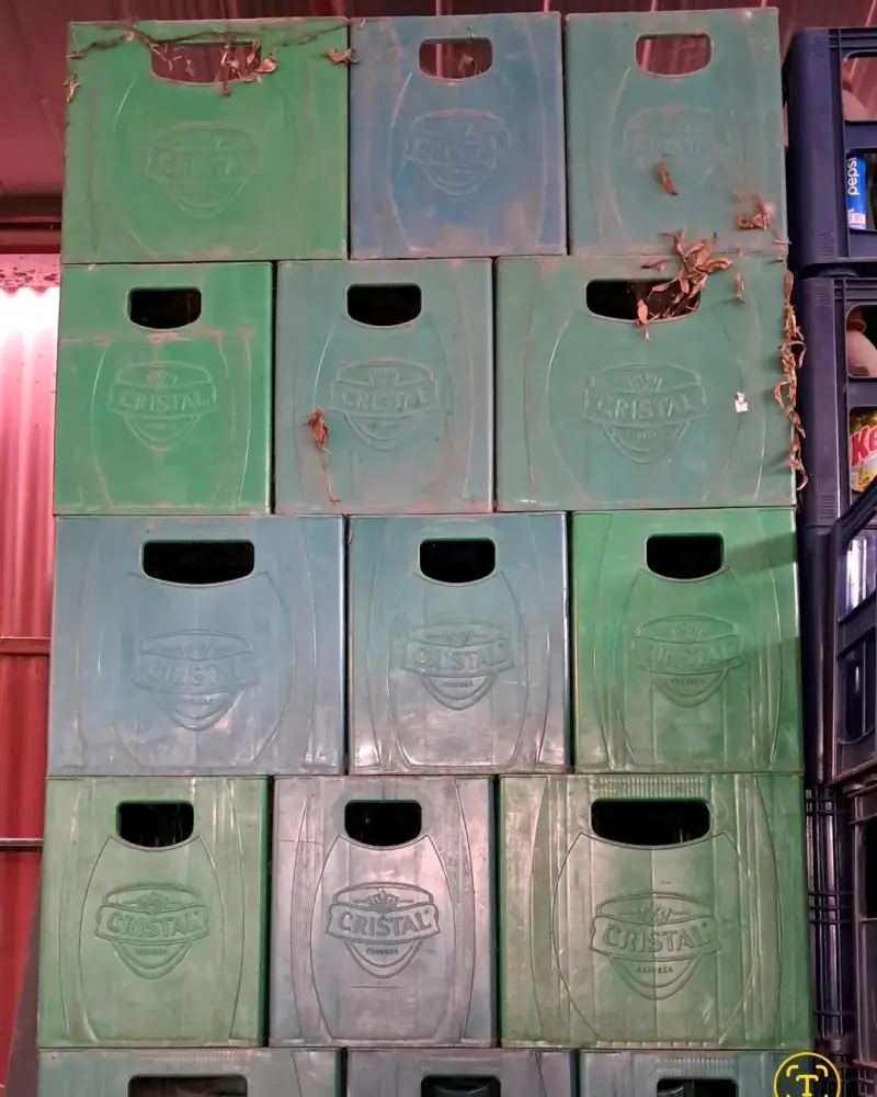 Jabas para botellas Coca-Cola y Cristal - 3
