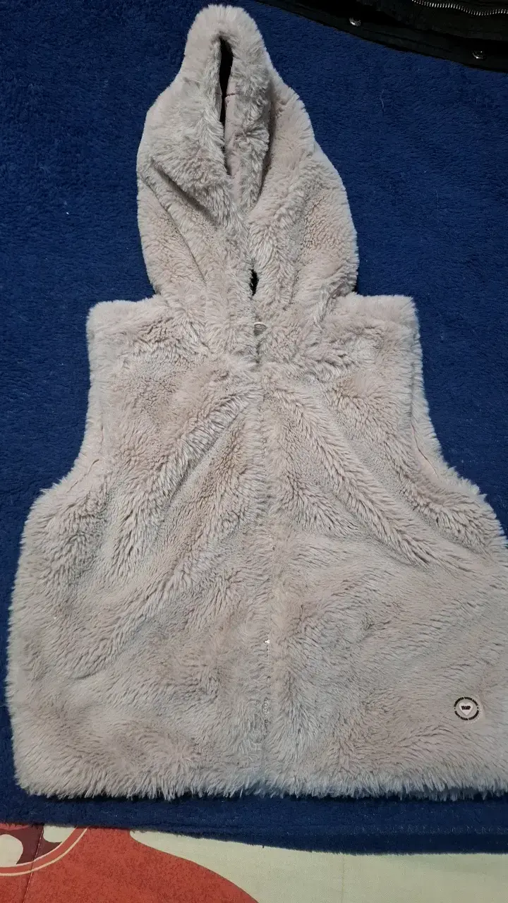 Chaleco sin mangas de peluche gris con capucha - 1