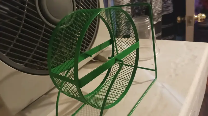 Rueda para hámster verde metálica - 2