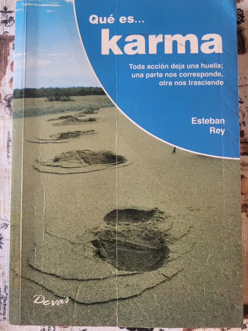 Libro Qué es Karma de Esteban Rey - 1