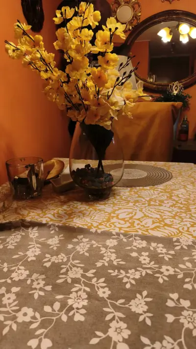 Juego de sillas de comedor con fundas coloridas - miniatura 2
