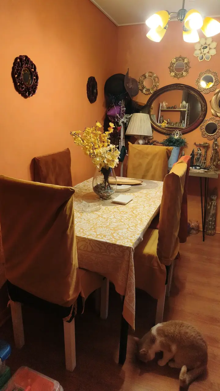 Juego de sillas de comedor con fundas coloridas - 3