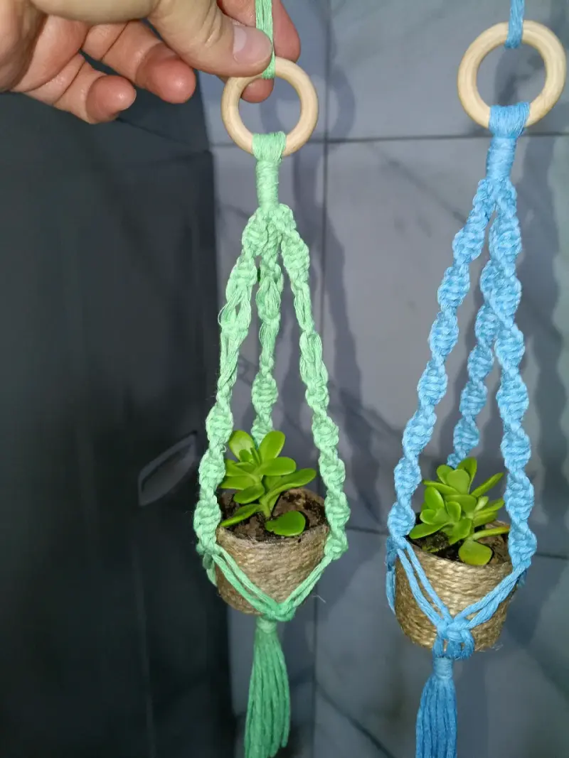 colgantes de macramé, auto, con plantas suculent - 1