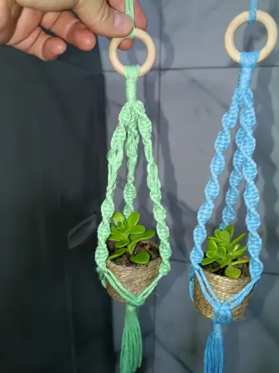 colgantes de macramé, auto, con plantas suculent - miniatura 1