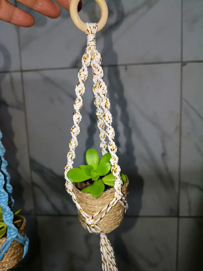 colgantes de macramé, auto, con plantas suculent - 2