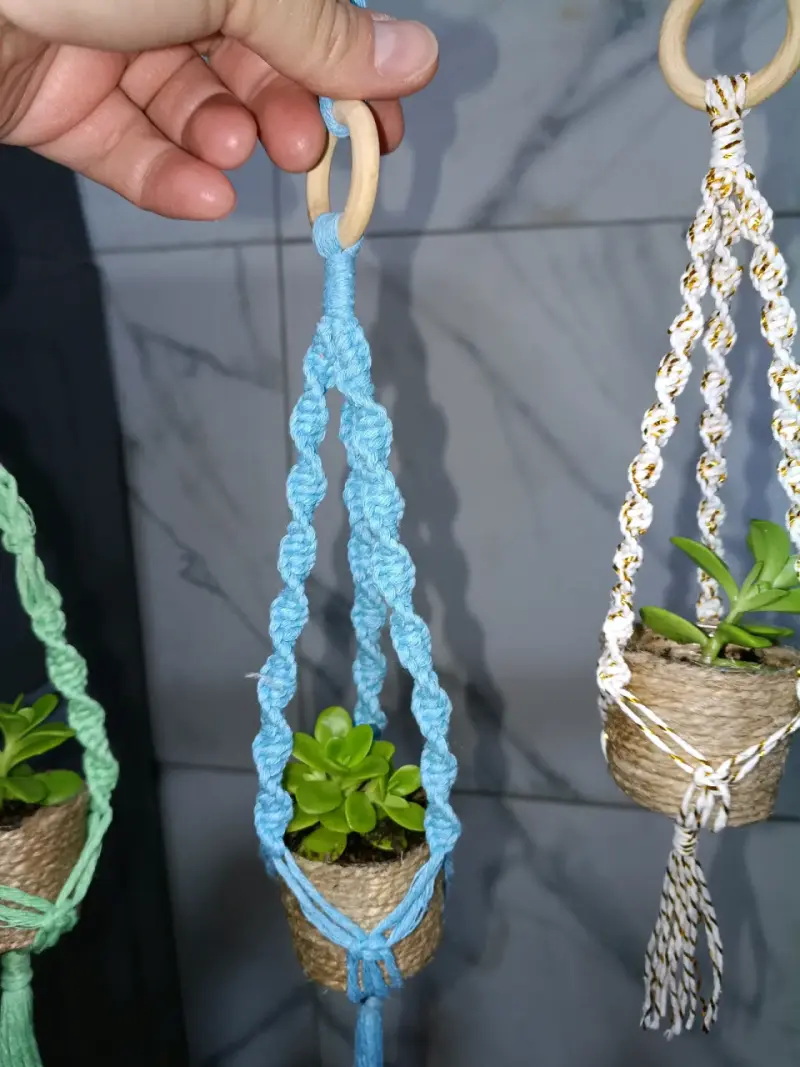 colgantes de macramé, auto, con plantas suculent - 3