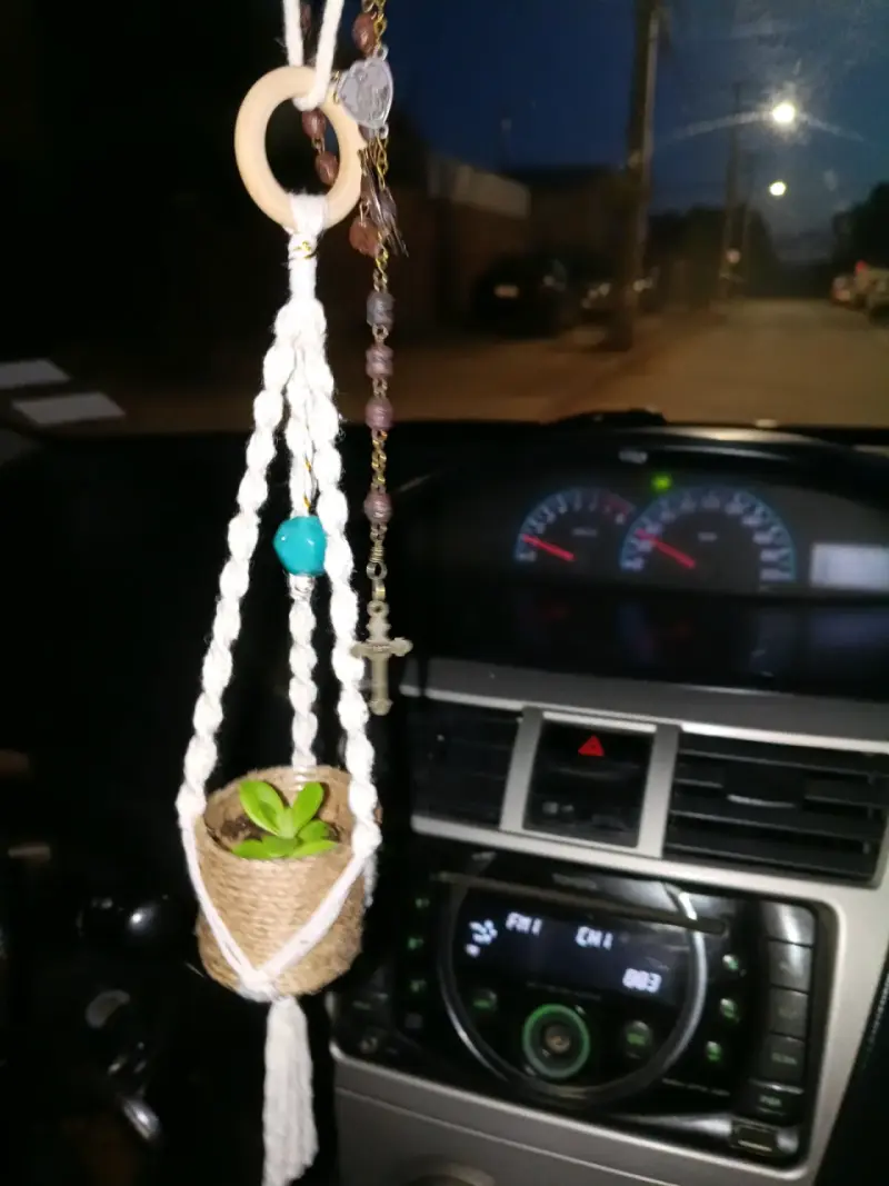 colgantes de macramé, auto, con plantas suculent - 5