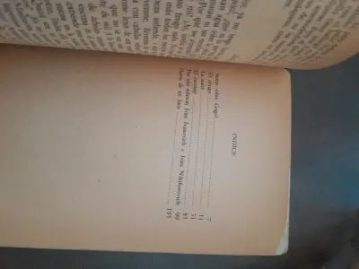 Diario de un Loco de Nicolás Gogol - miniatura 3