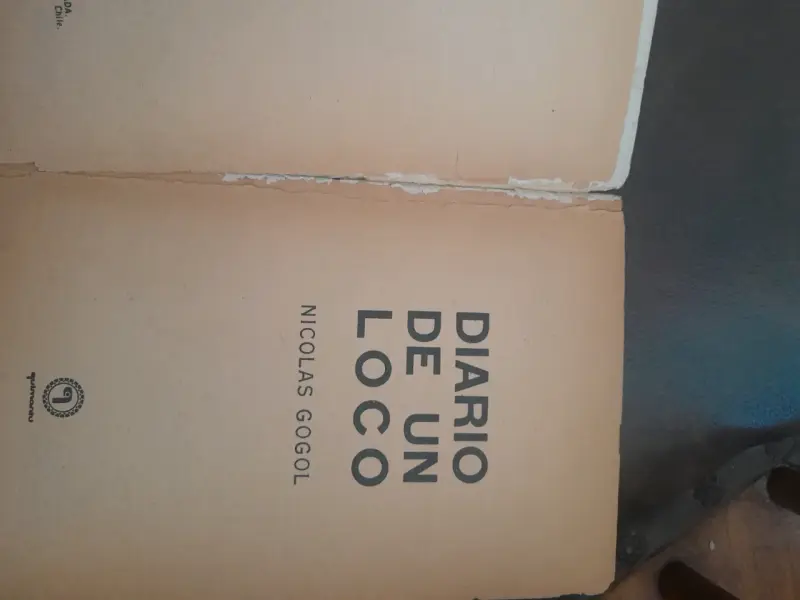 Diario de un Loco de Nicolás Gogol - 4