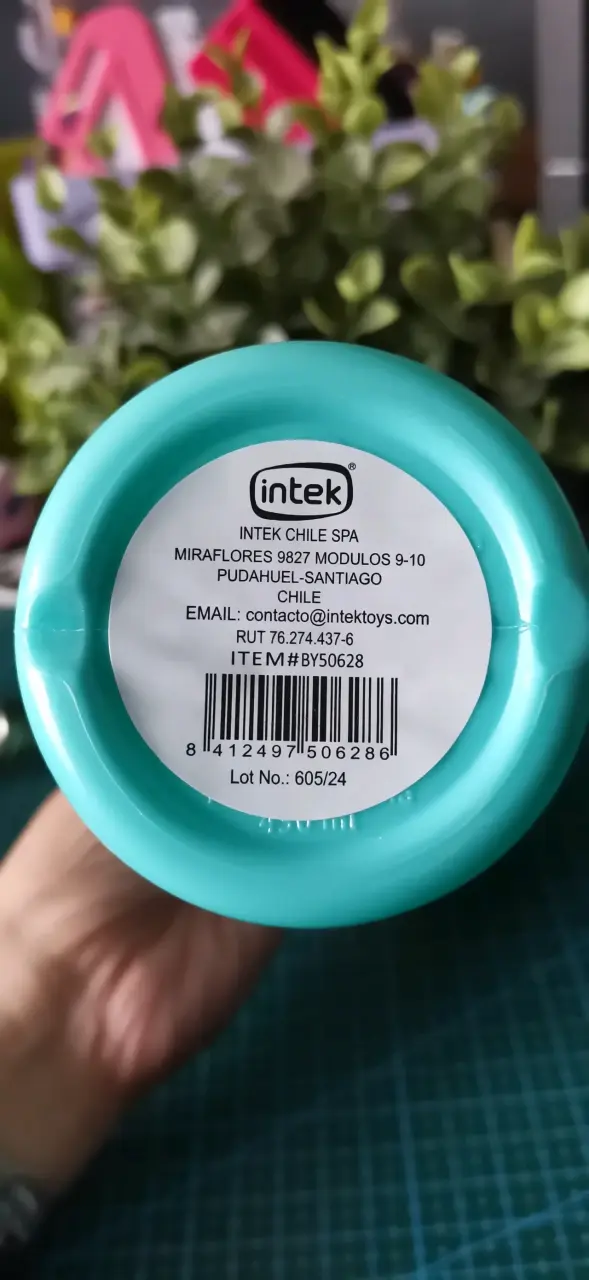 Botella de agua infantil Bluey Intek - 3