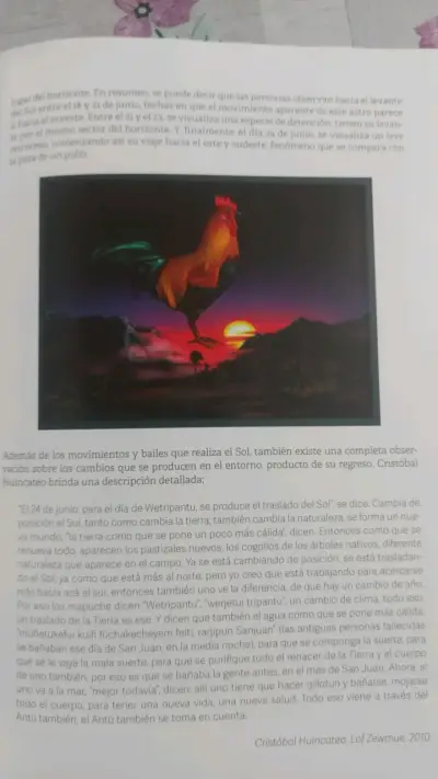Libro We Nu Mapu: Astronomía y Cosmología Mapuche - miniatura 4