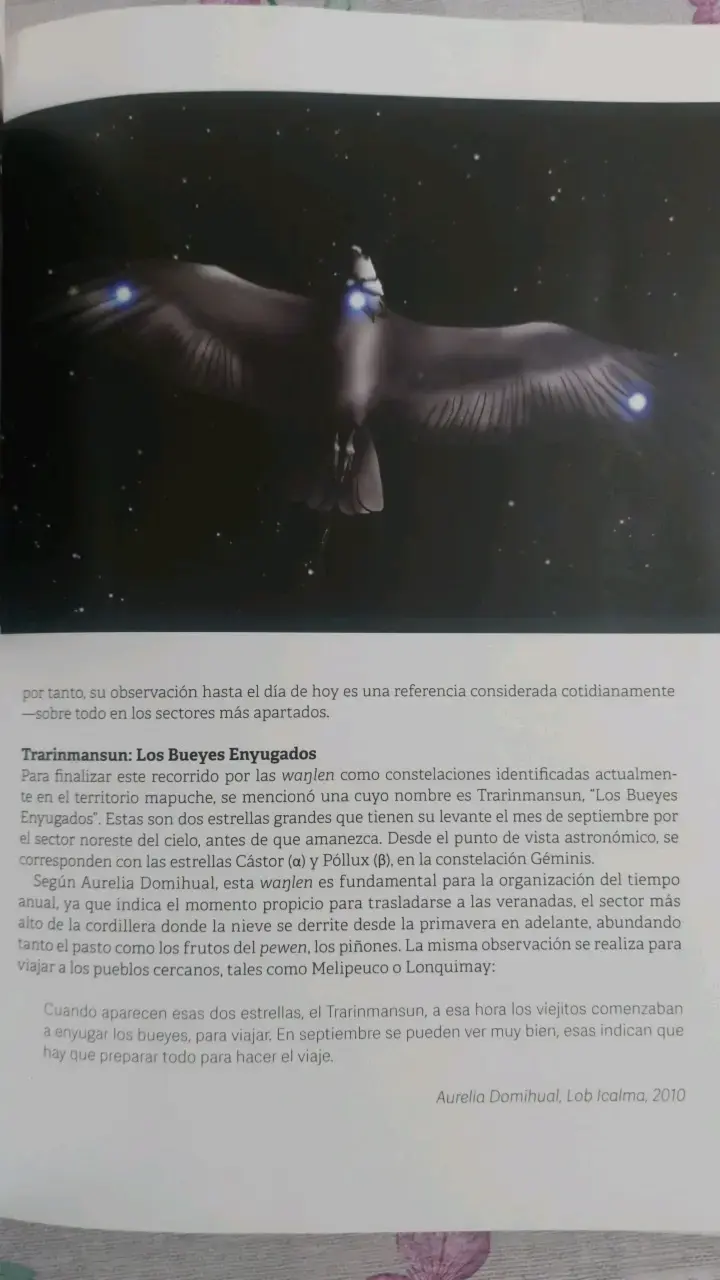 Libro We Nu Mapu: Astronomía y Cosmología Mapuche - 6
