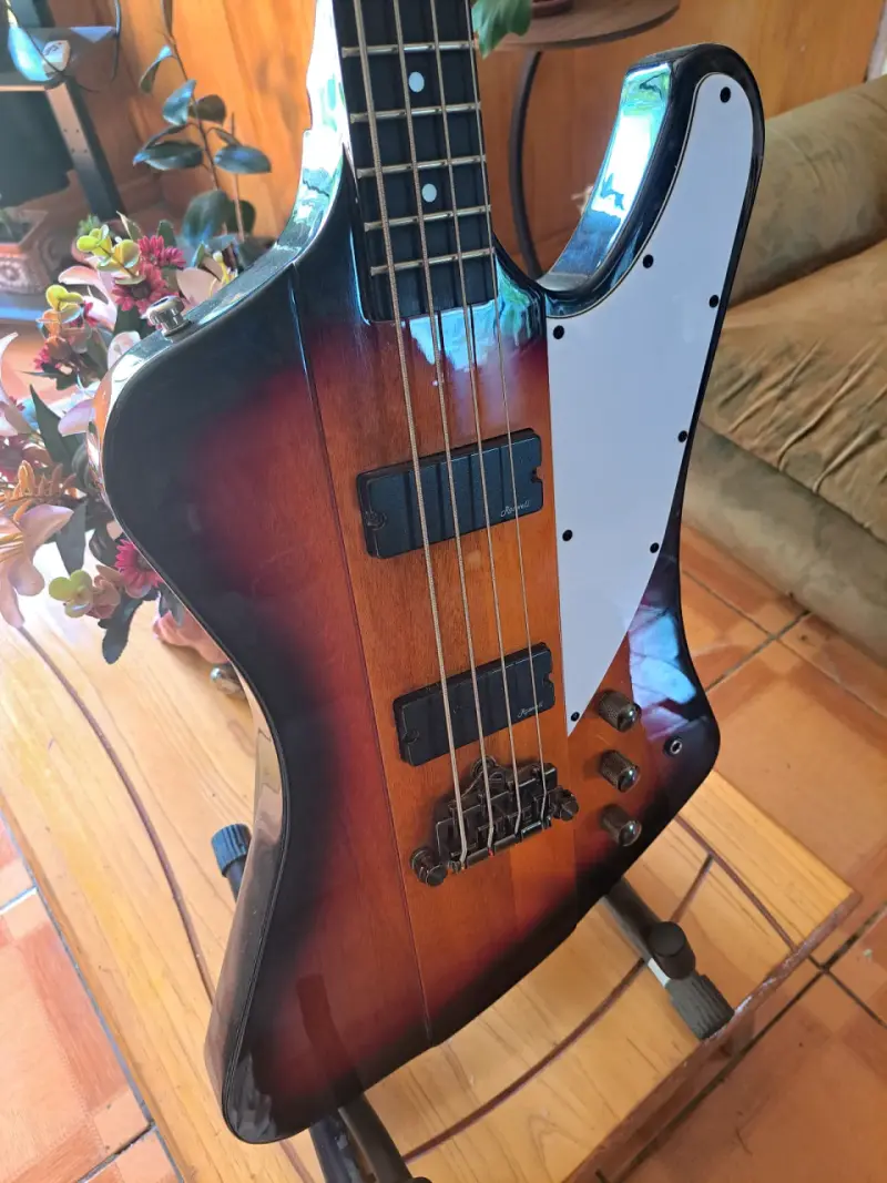 Bajo eléctrico - 1