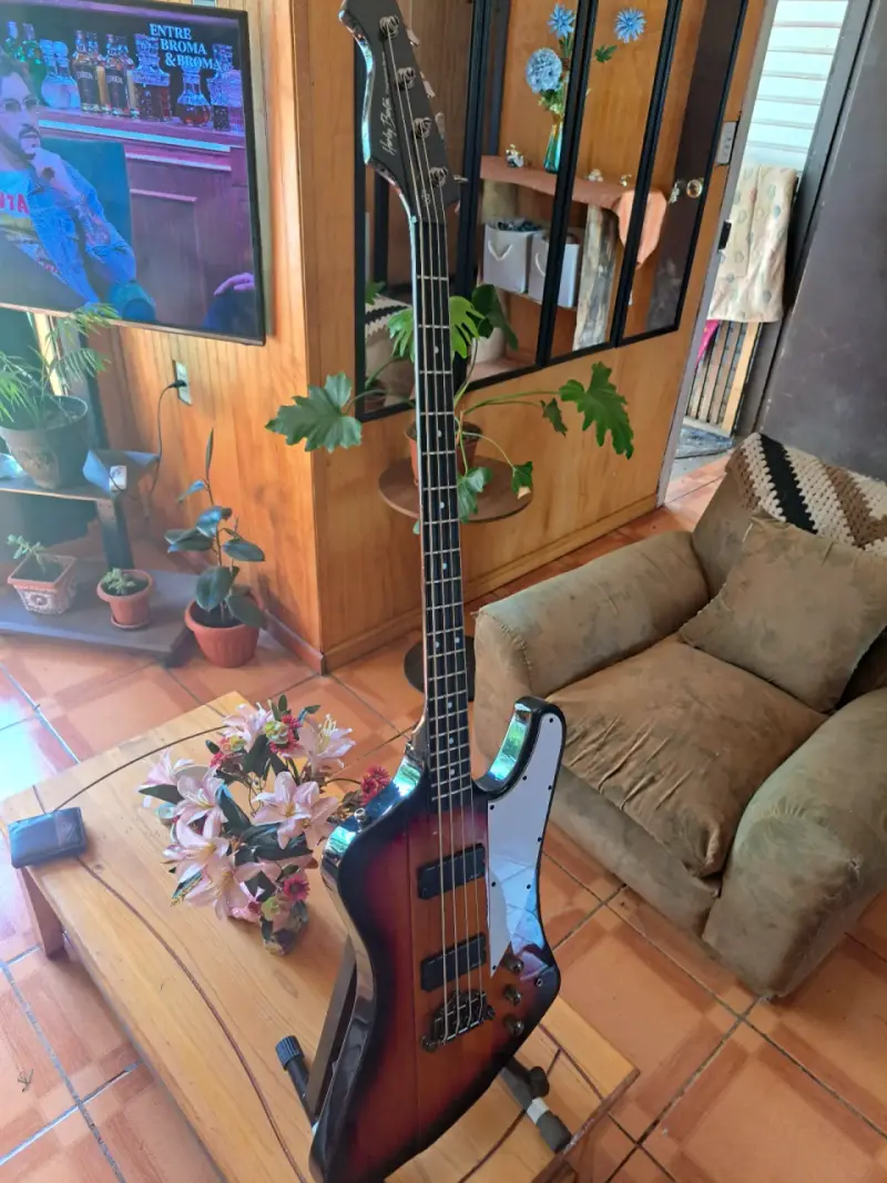Bajo eléctrico - 4