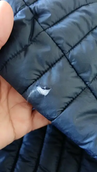 Chaqueta acolchada azul con capucha Esprit - miniatura 3