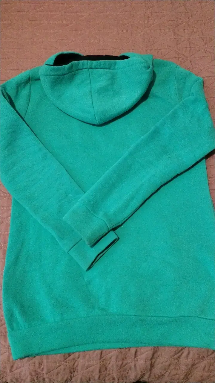 Polerón con capucha turquesa Dickies - 2