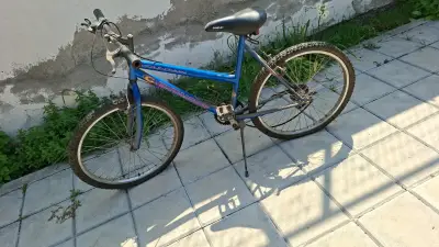 Bicicleta montaña azul con casco incluido - miniatura 2